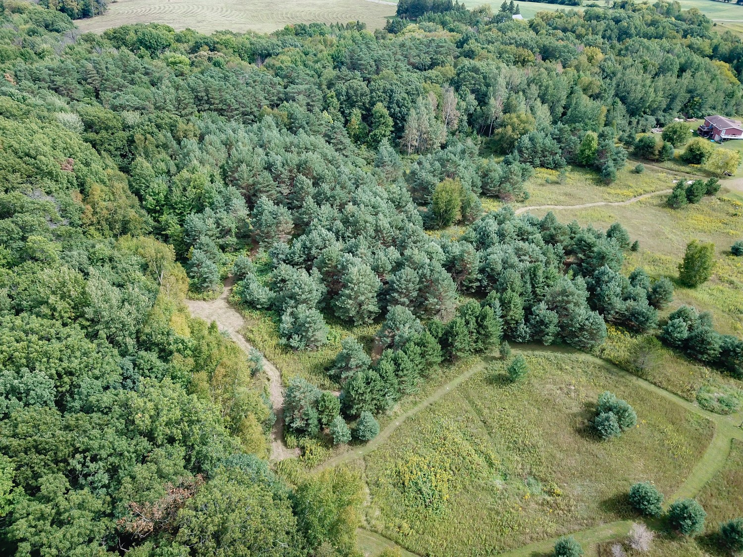 Lot 2 211th Street Property Photo 14