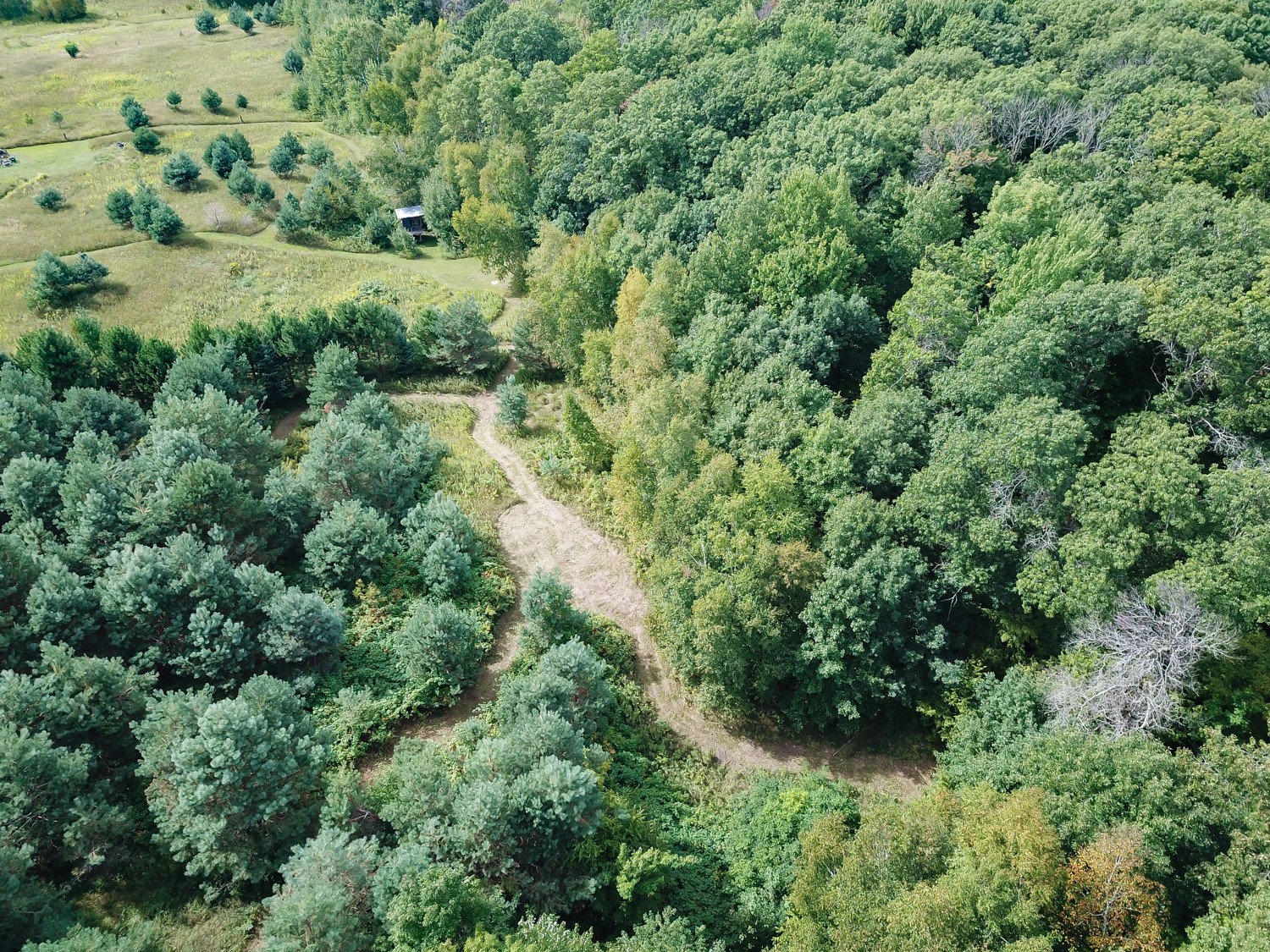 Lot 2 211th Street Property Photo 15