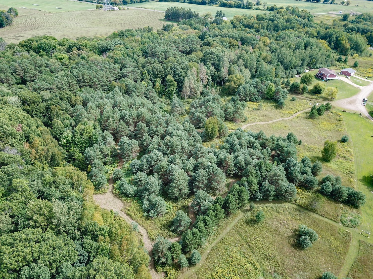 Lot 2 211th Street Property Photo 16