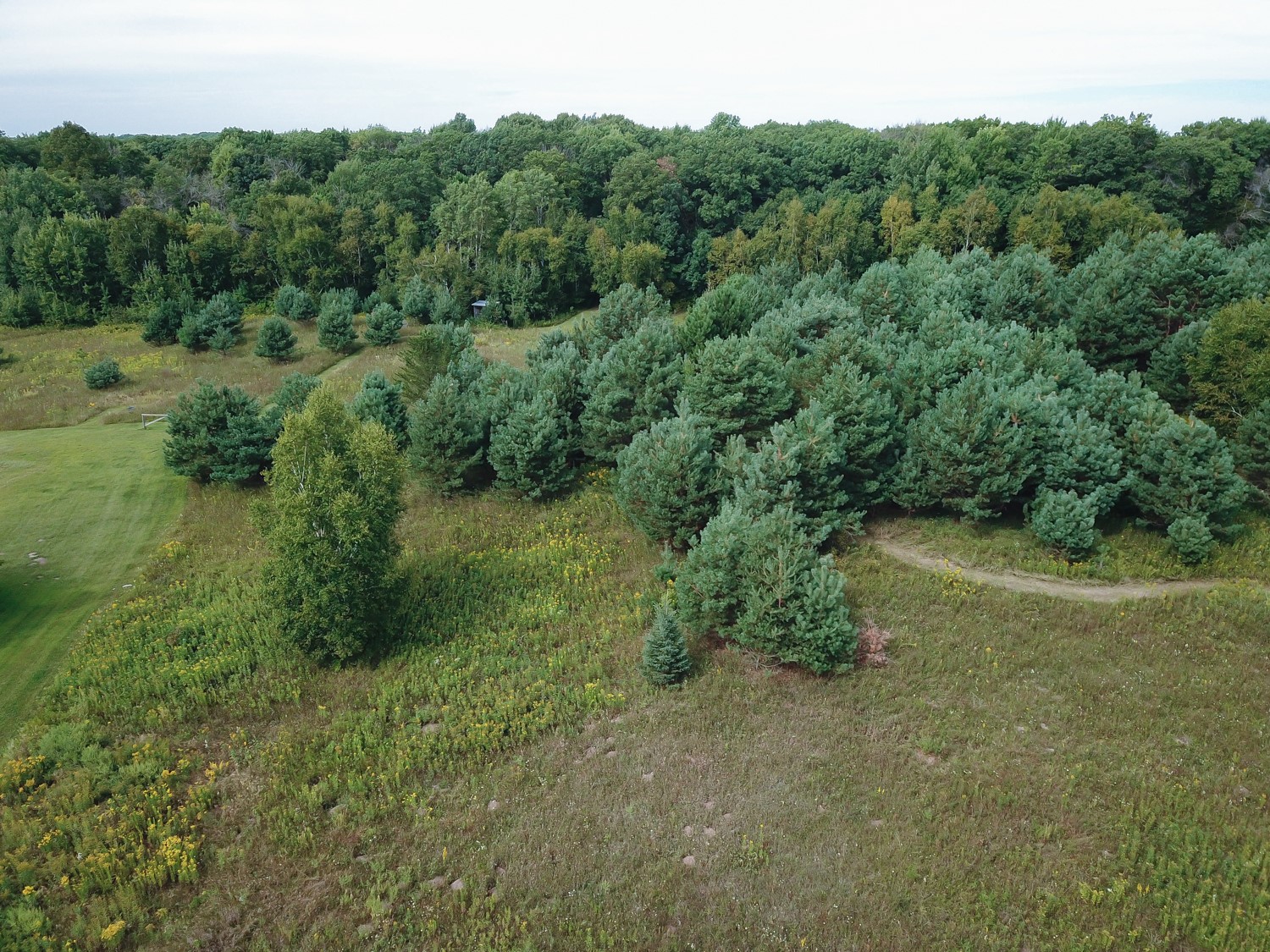 Lot 2 211th Street Property Photo 19