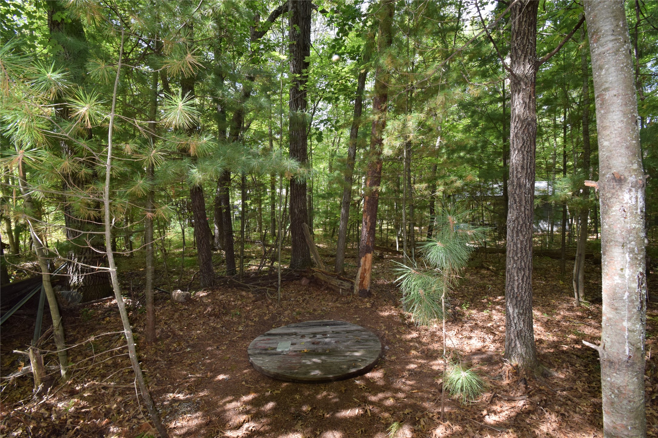 6703 Jamesway Road Property Photo 10