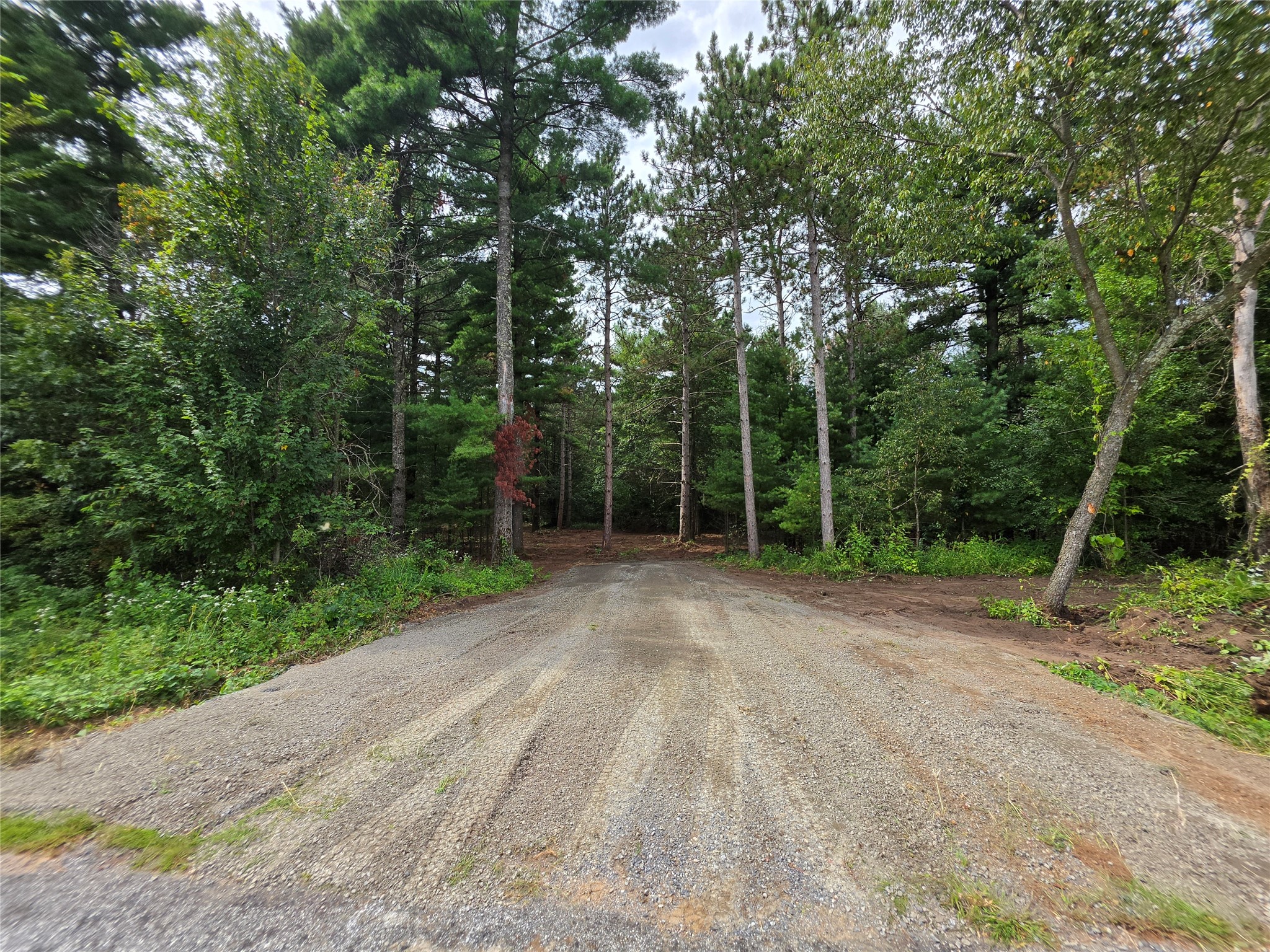 0 Buena Vista Road Property Photo 1