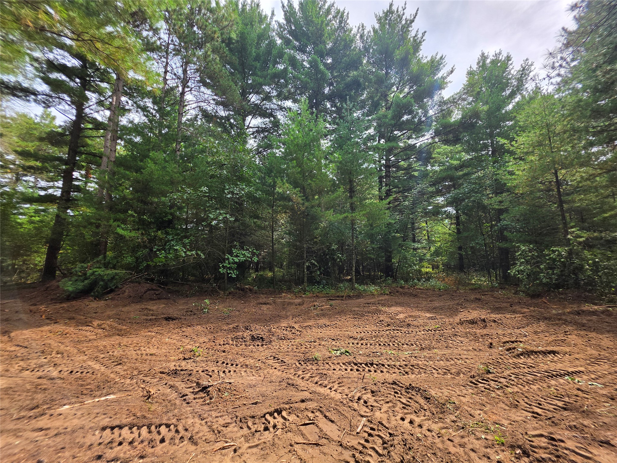 0 Buena Vista Road Property Photo 3