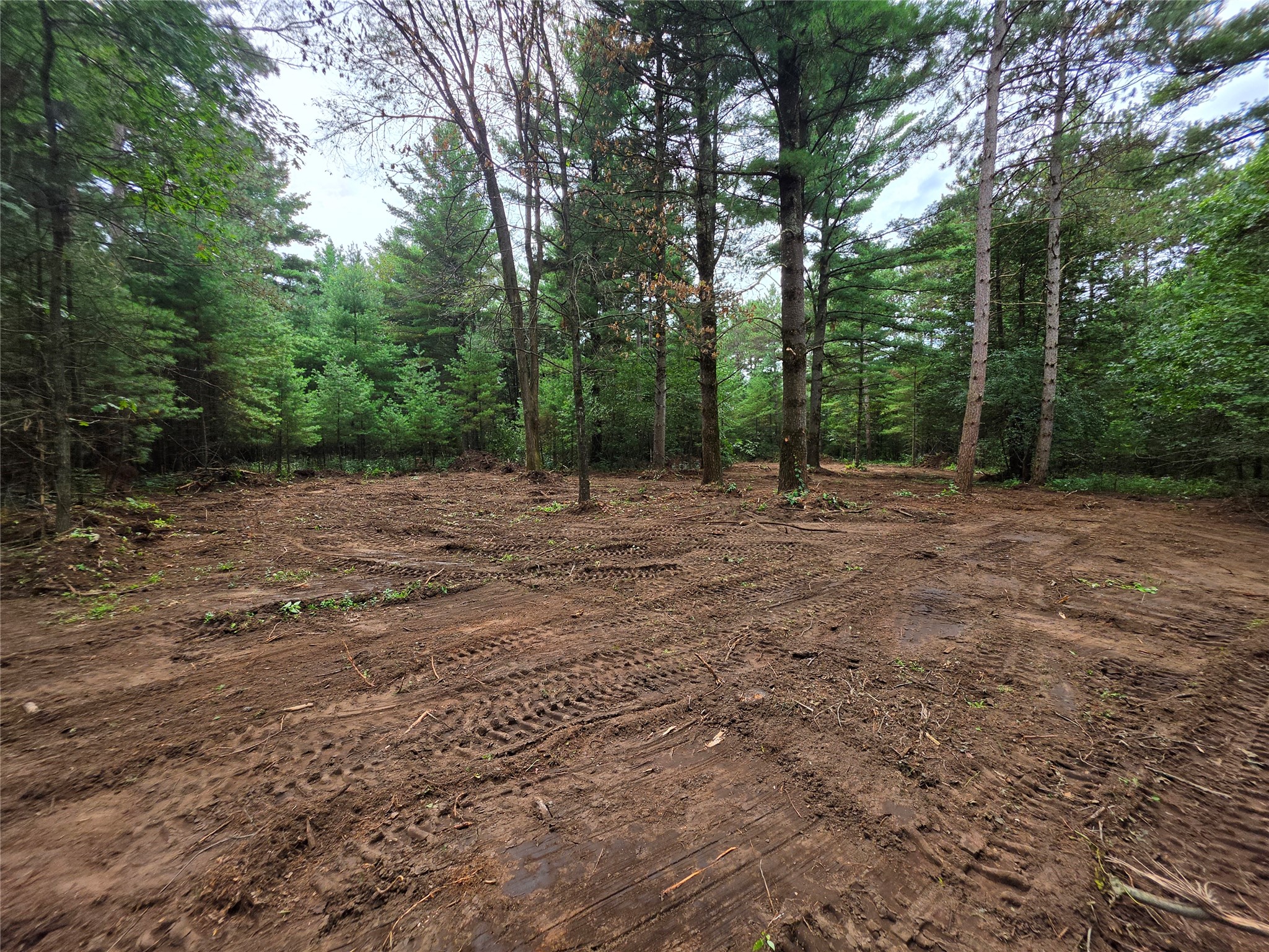 0 Buena Vista Road Property Photo 5