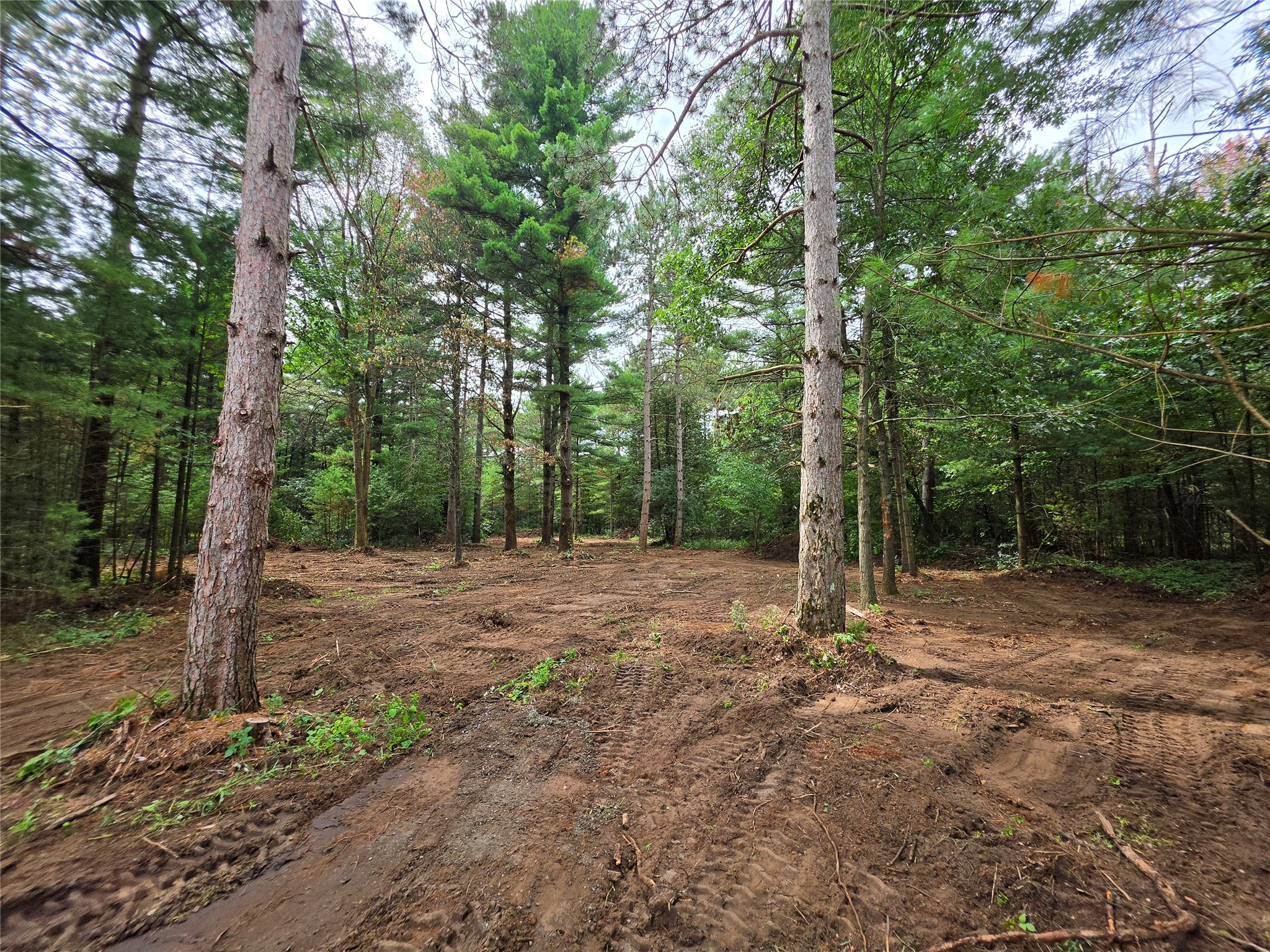 0 Buena Vista Road Property Photo 6