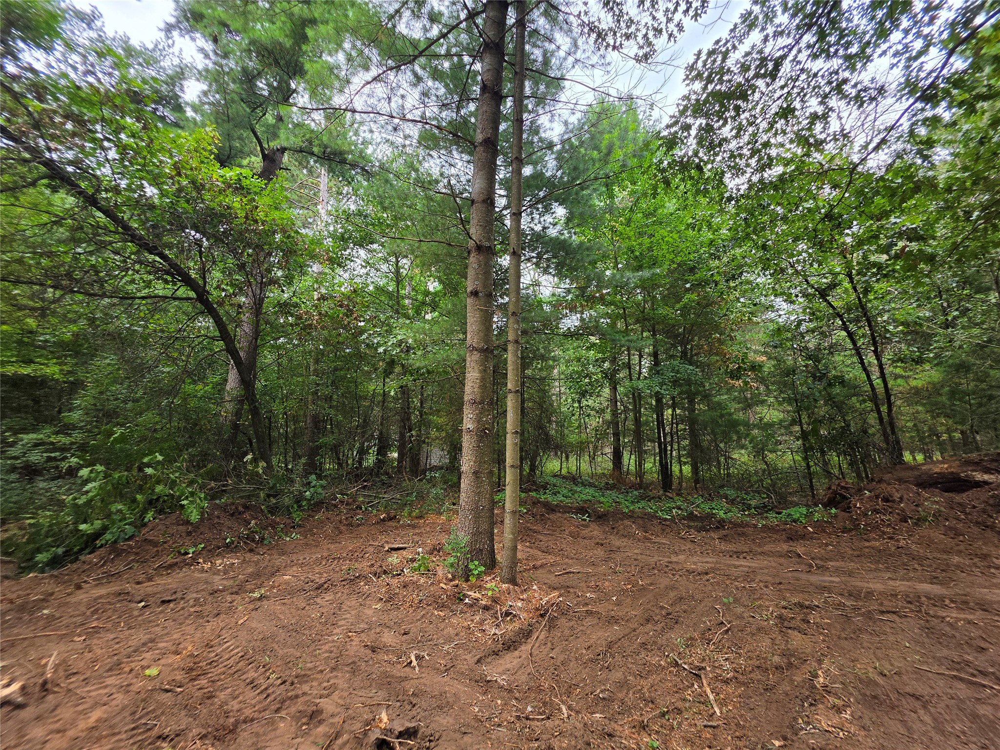 0 Buena Vista Road Property Photo 7