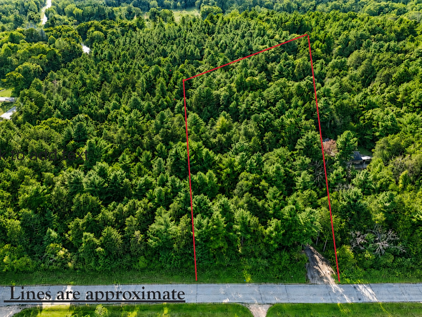 0 Buena Vista Road Property Photo 15