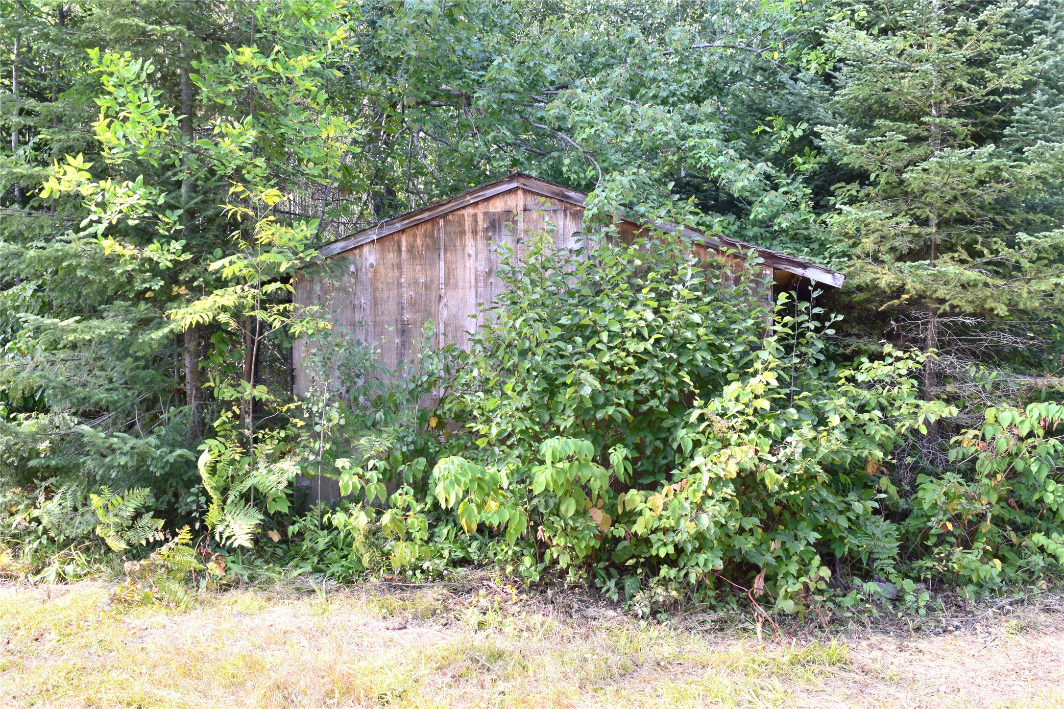 26615 Star Route Road Property Photo 23