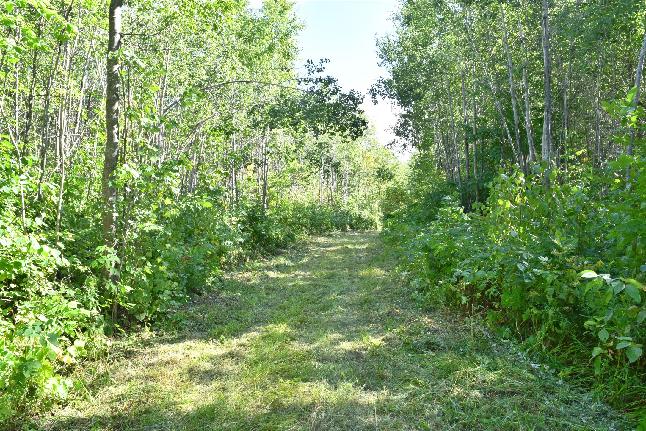 26615 Star Route Road Property Photo 26