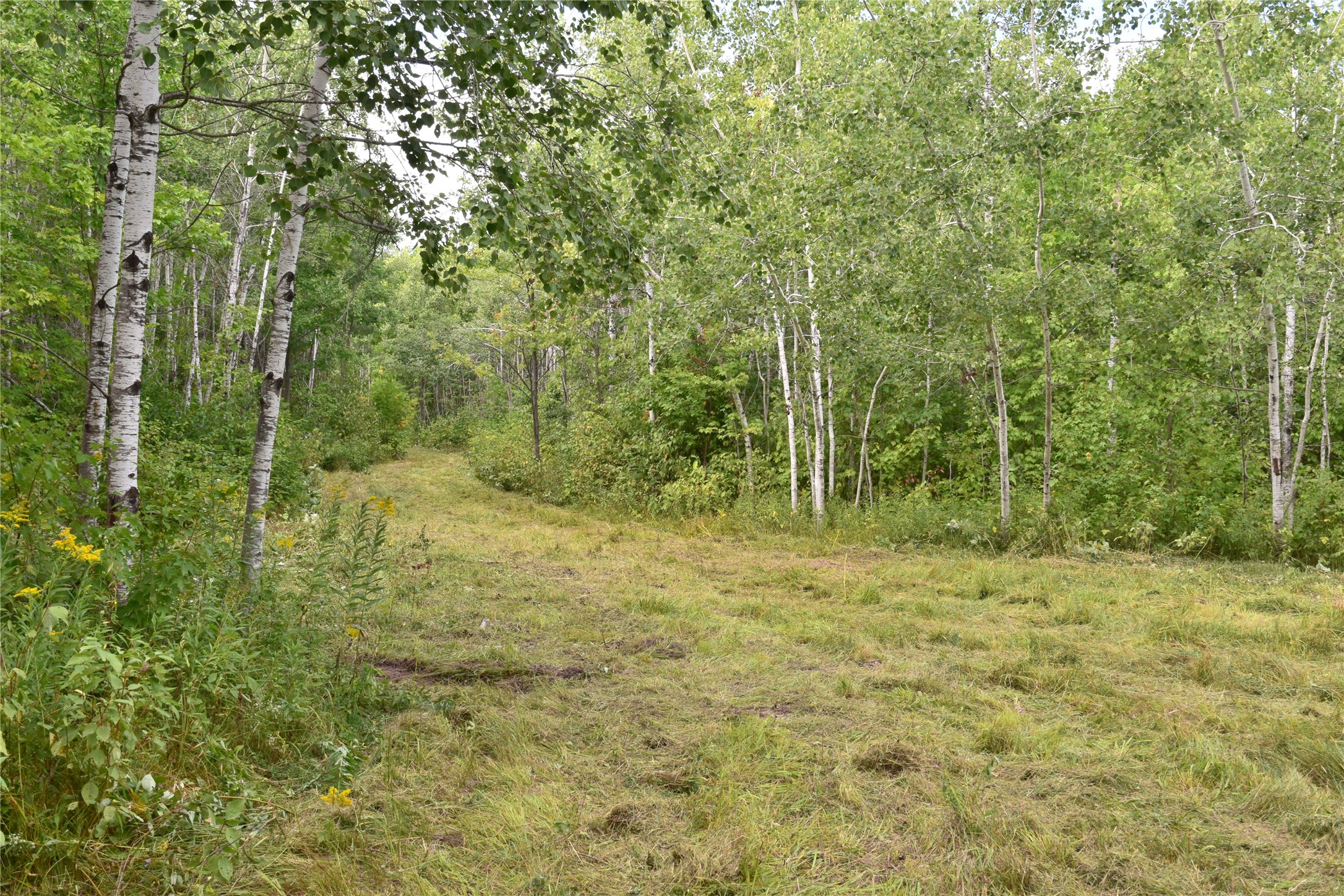 26615 Star Route Road Property Photo 27