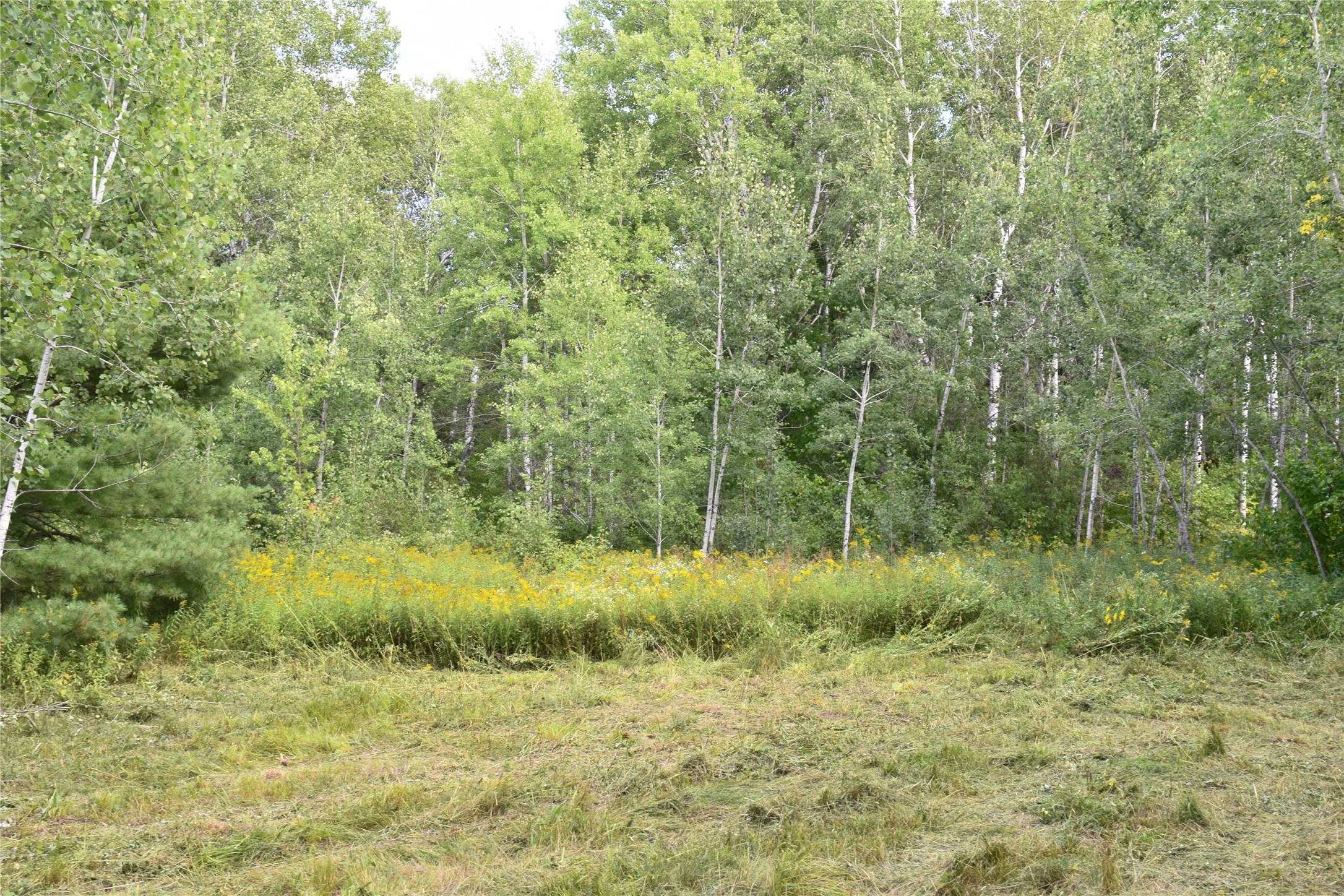 26615 Star Route Road Property Photo 28