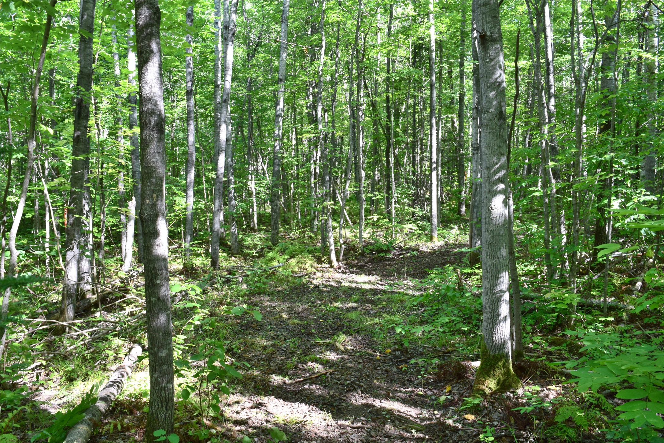 26615 Star Route Road Property Photo 29