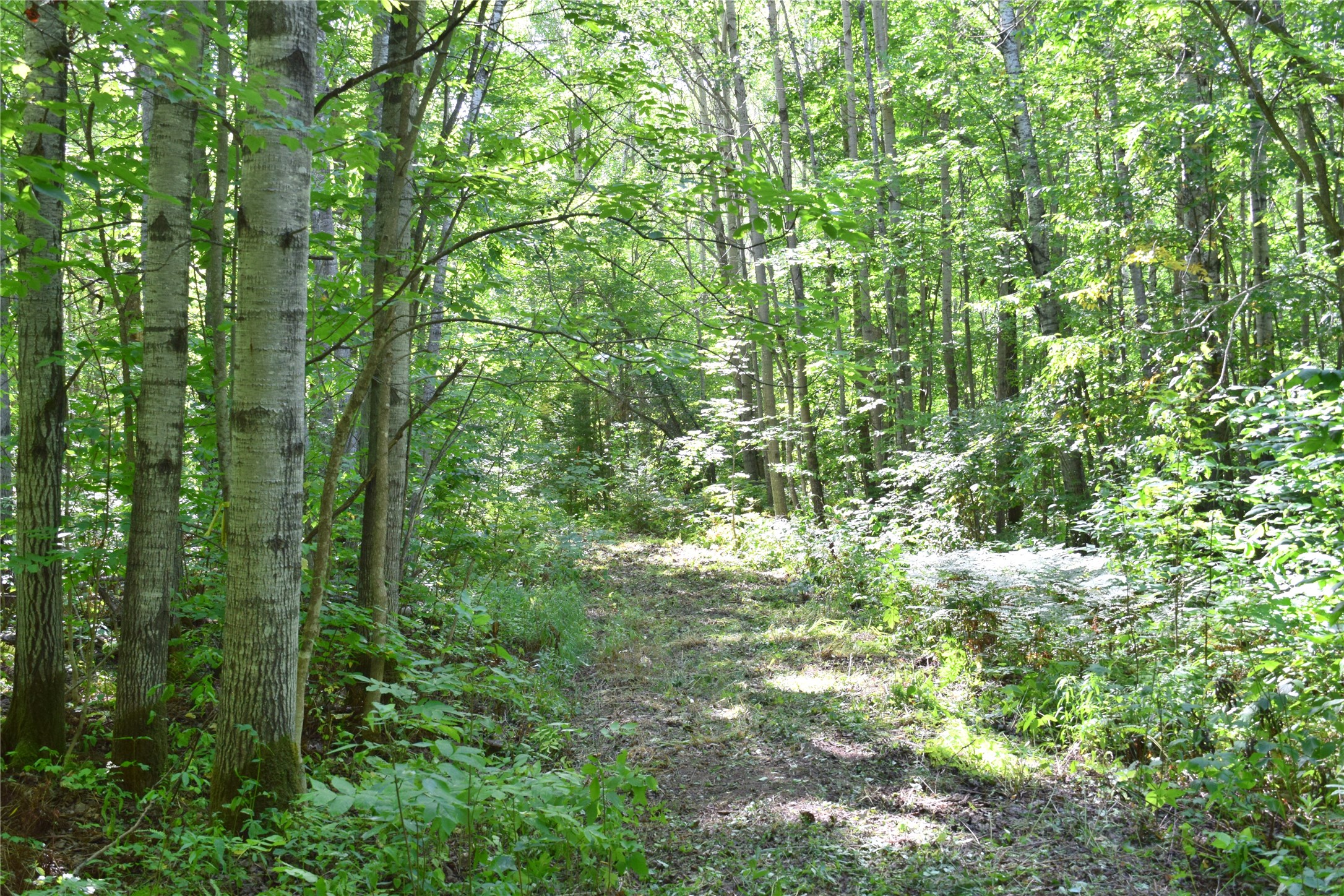 26615 Star Route Road Property Photo 30