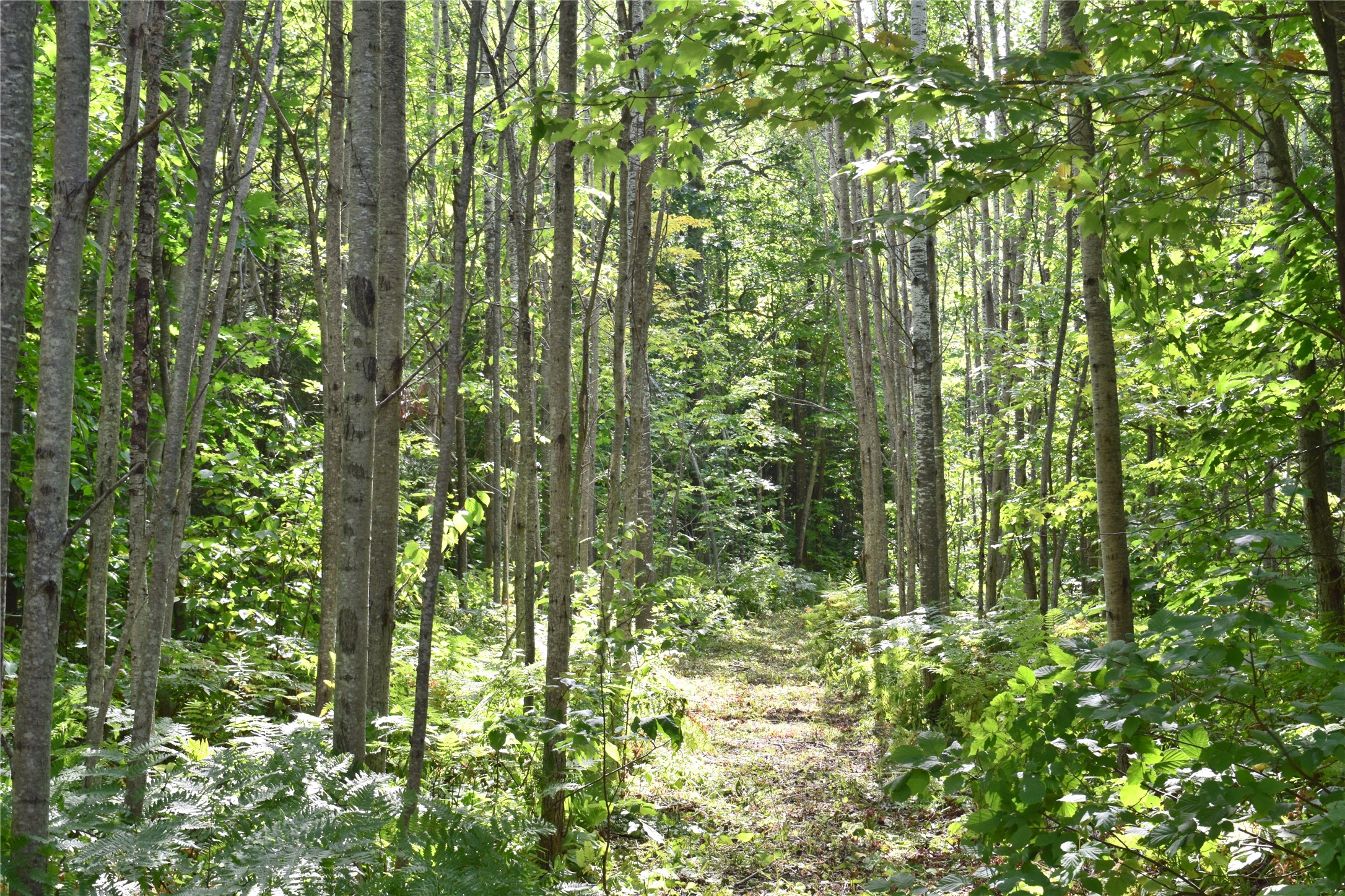 26615 Star Route Road Property Photo 31