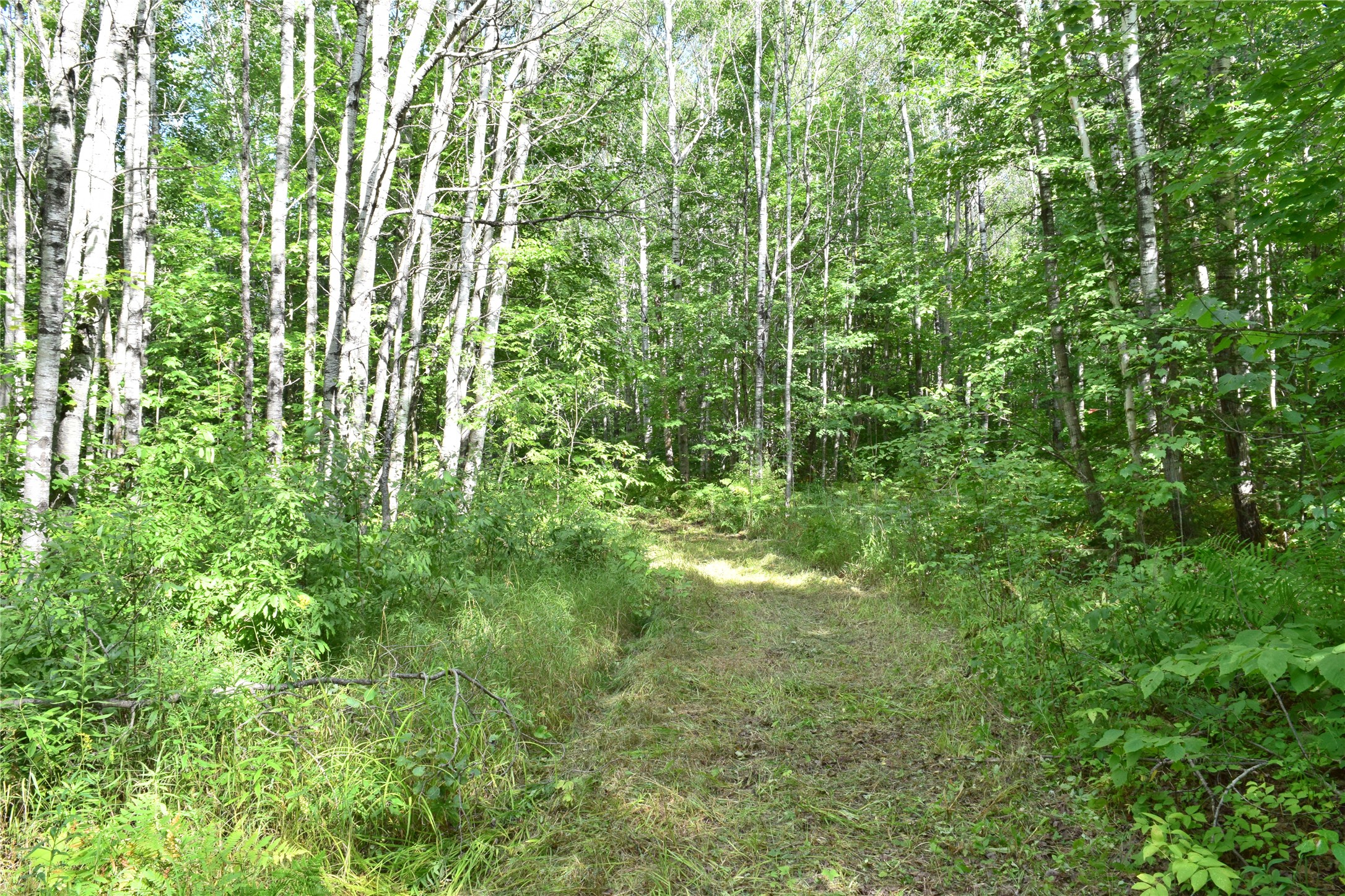 26615 Star Route Road Property Photo 32