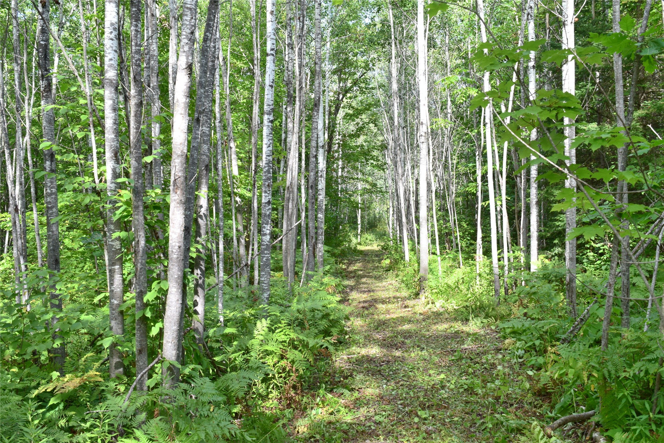 26615 Star Route Road Property Photo 33