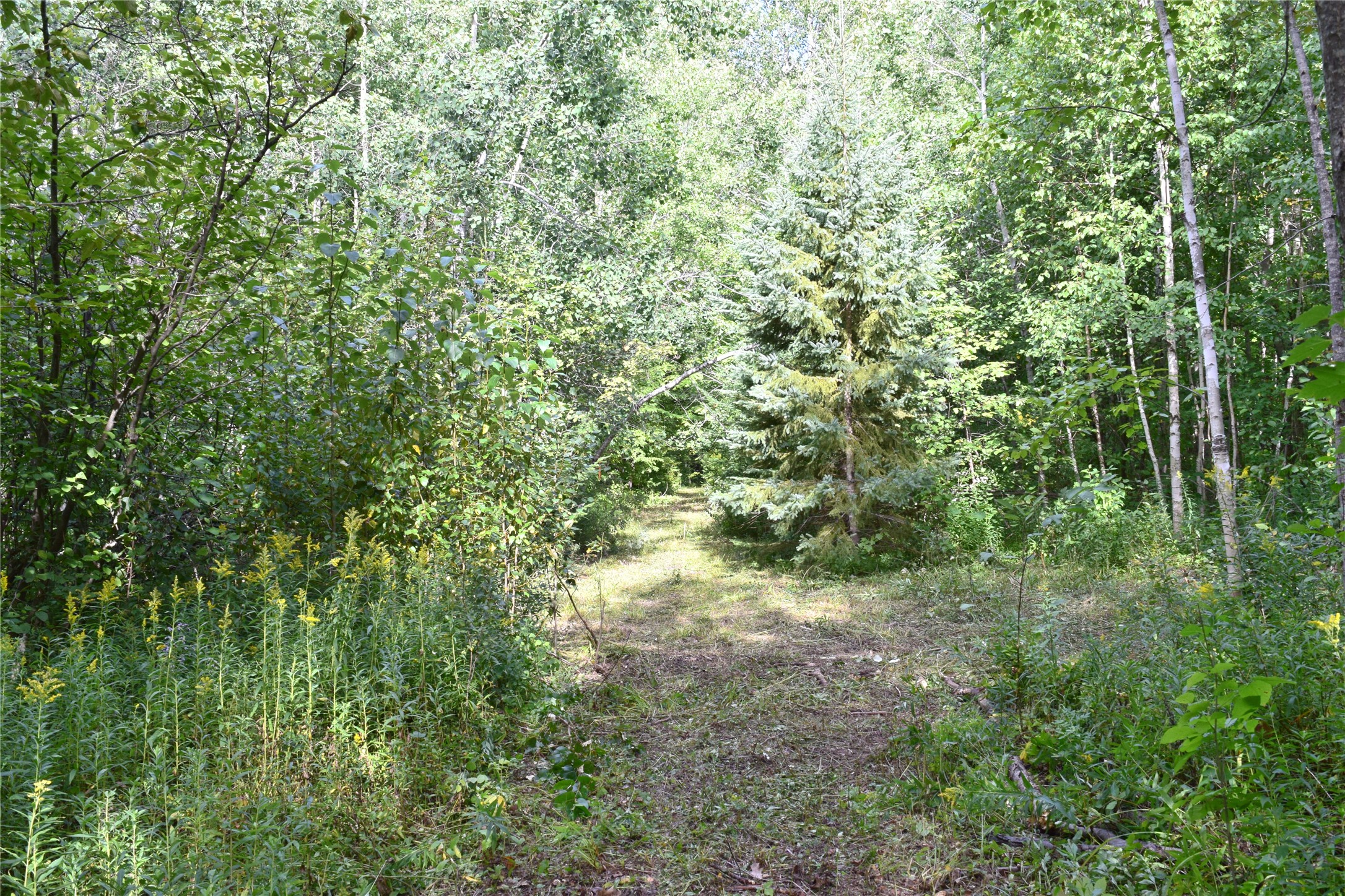 26615 Star Route Road Property Photo 34