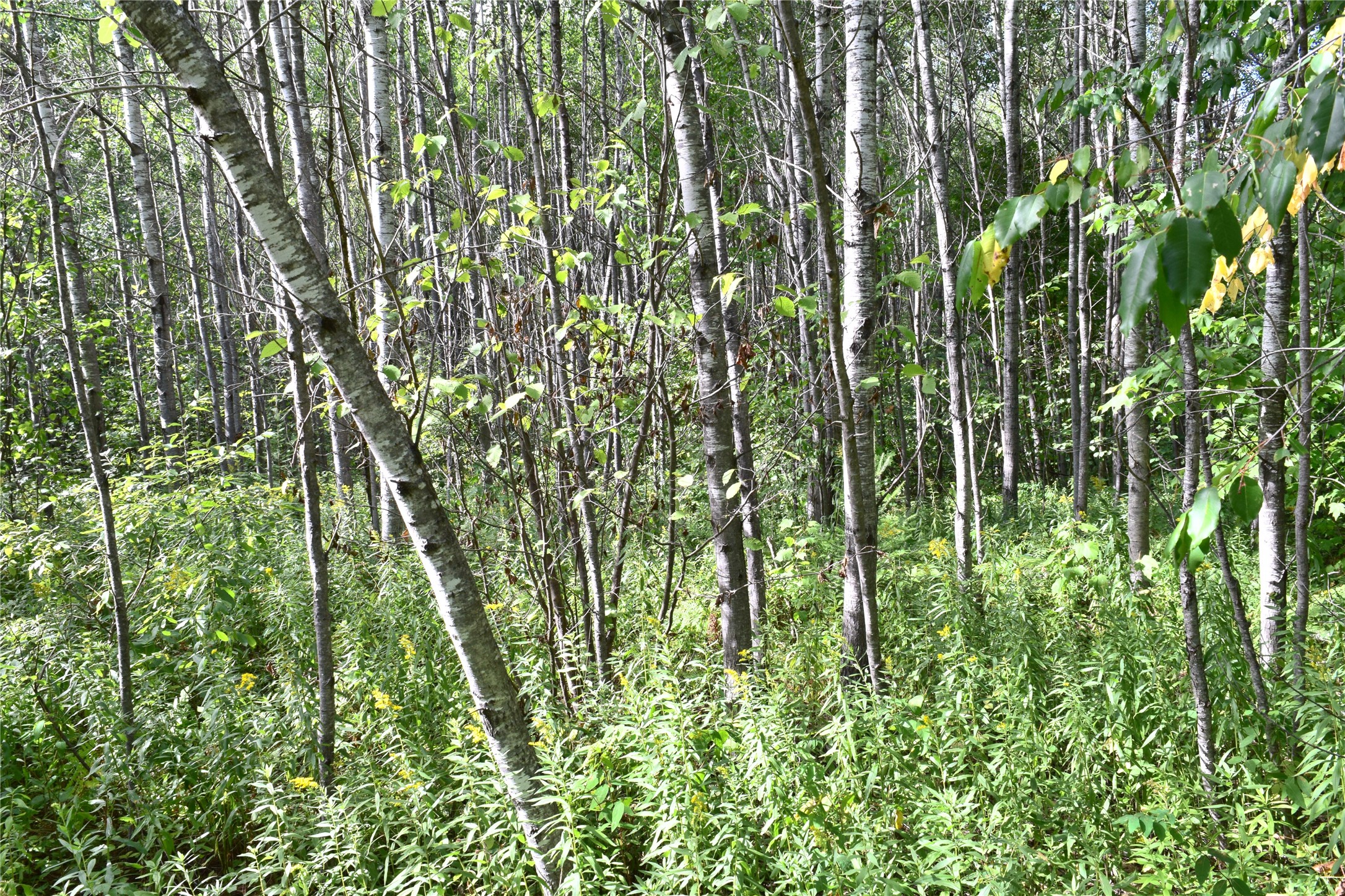 26615 Star Route Road Property Photo 35