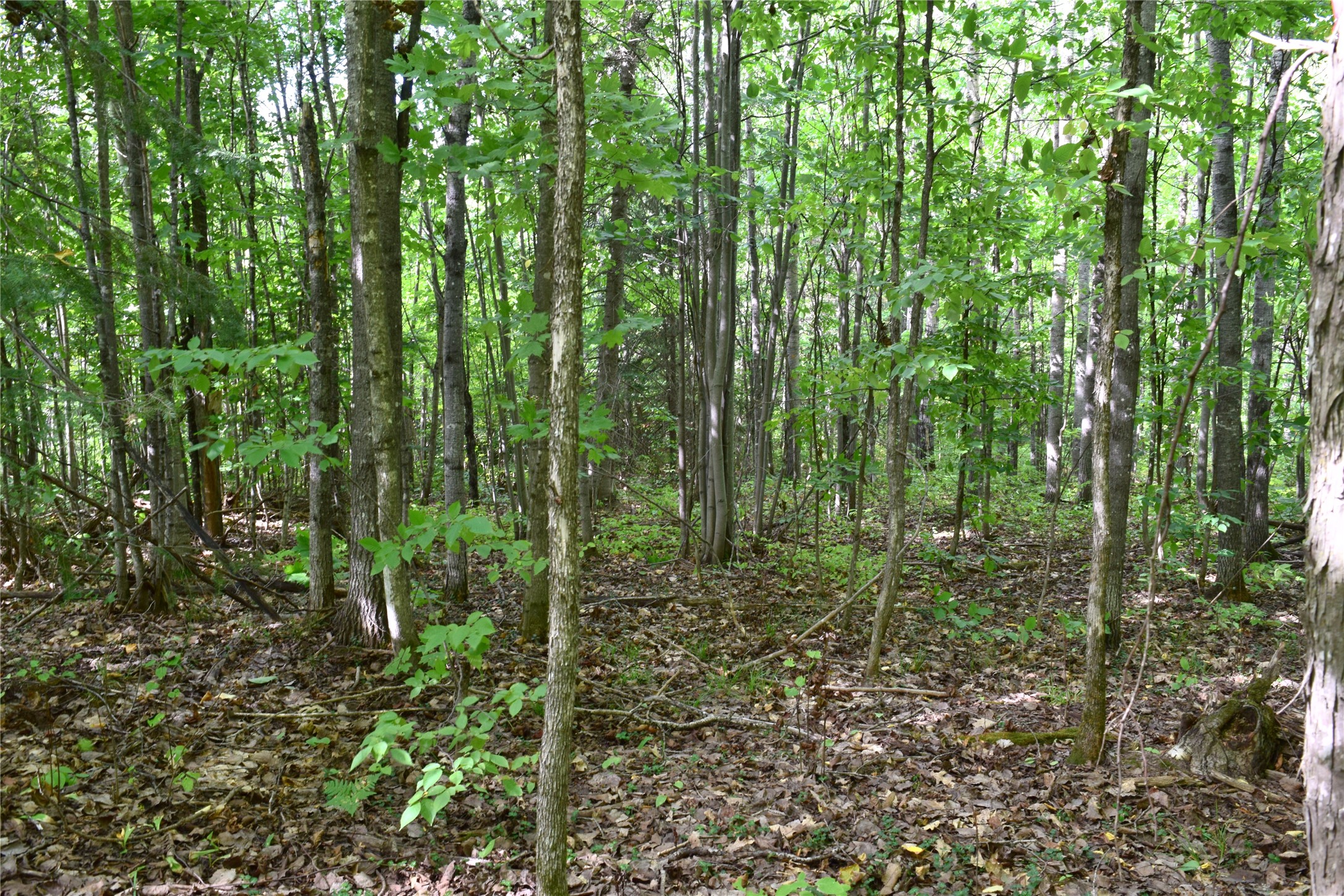26615 Star Route Road Property Photo 36