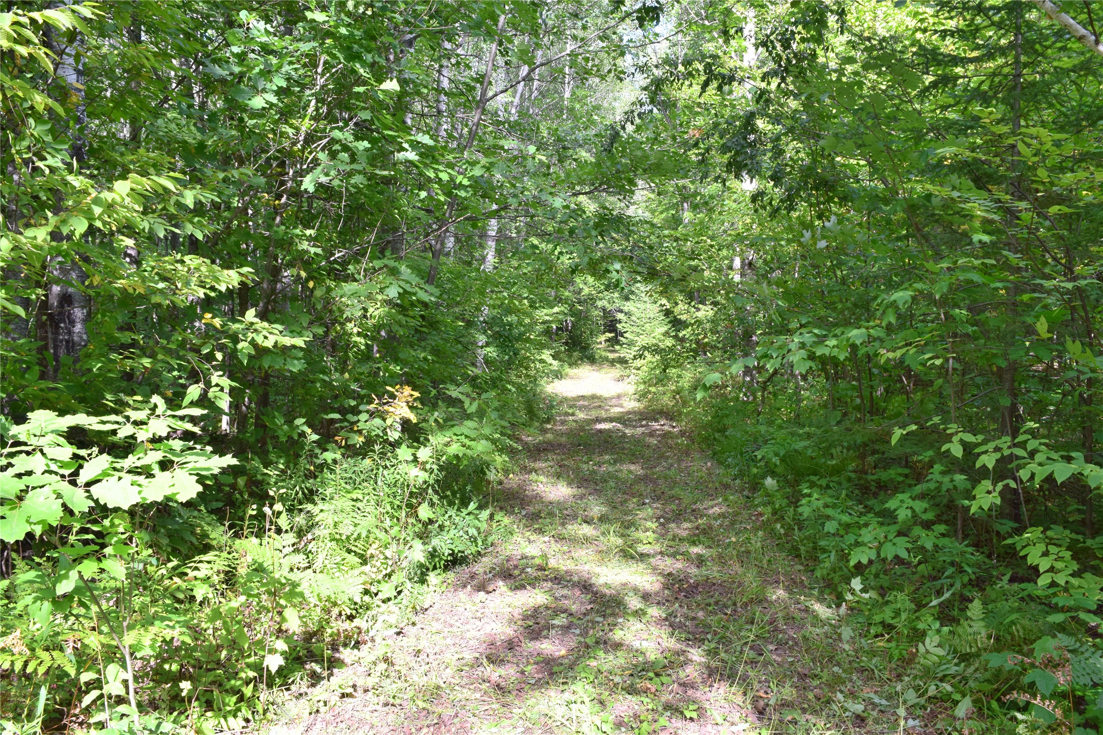 26615 Star Route Road Property Photo 37