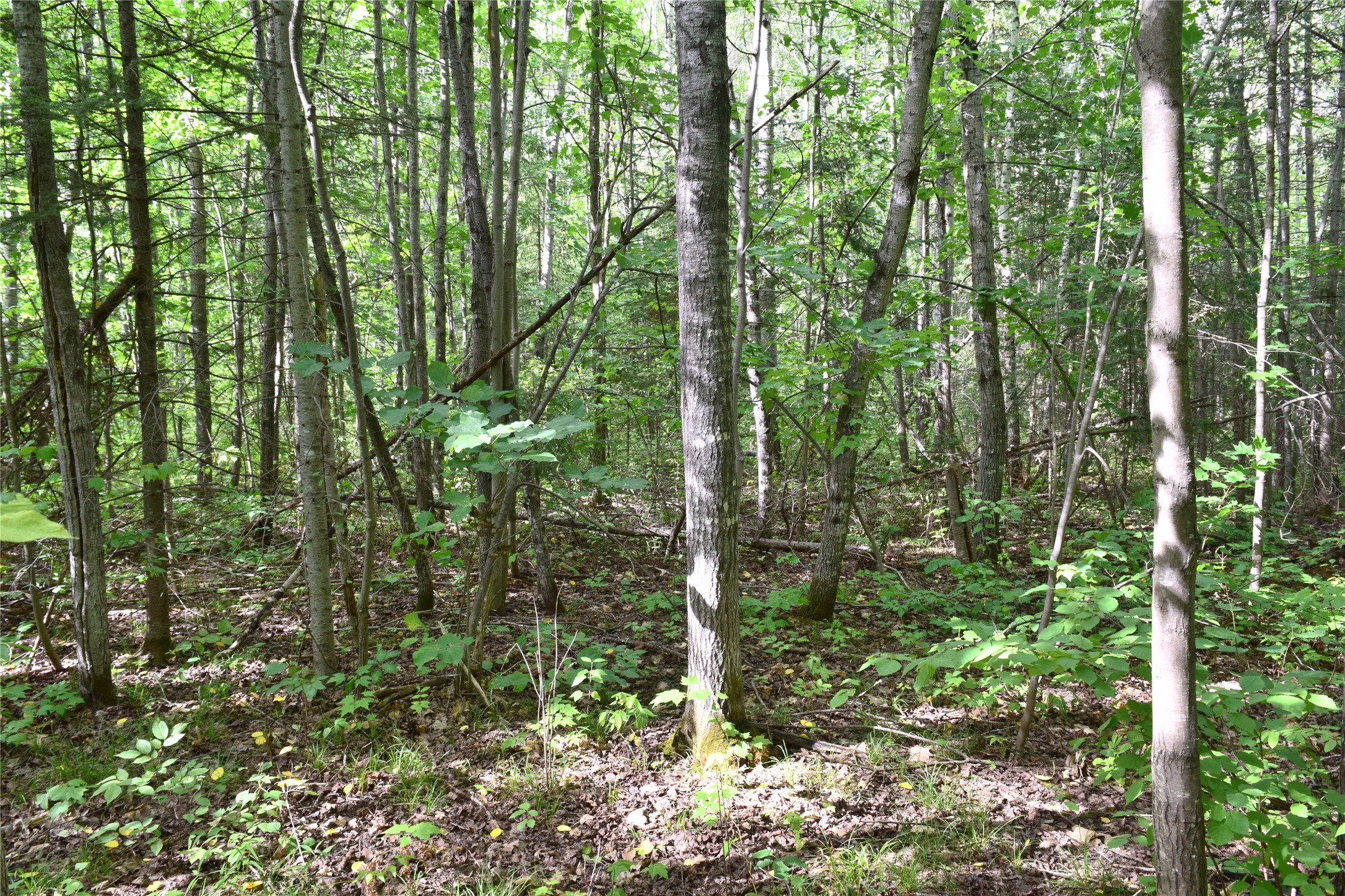 26615 Star Route Road Property Photo 38