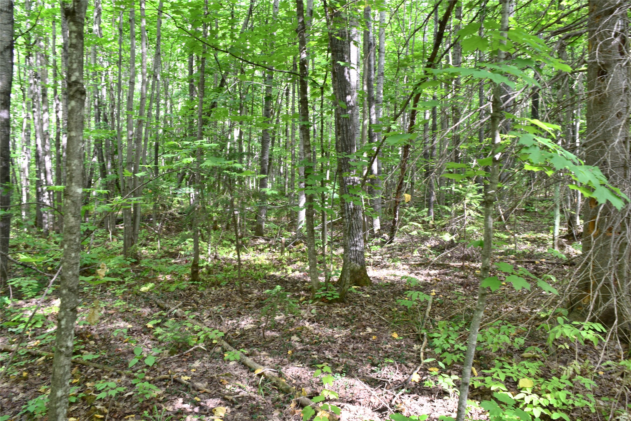 26615 Star Route Road Property Photo 39