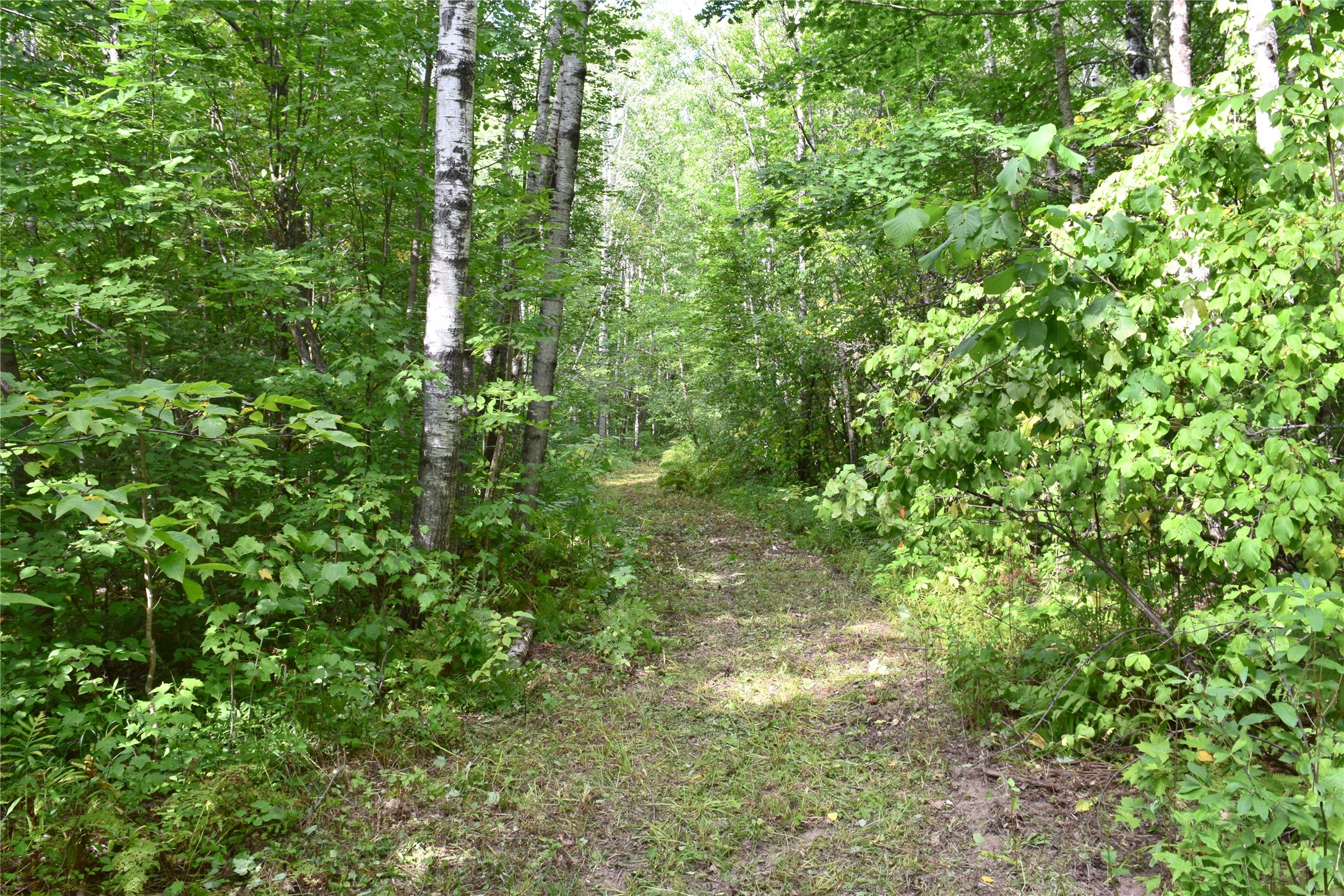 26615 Star Route Road Property Photo 40