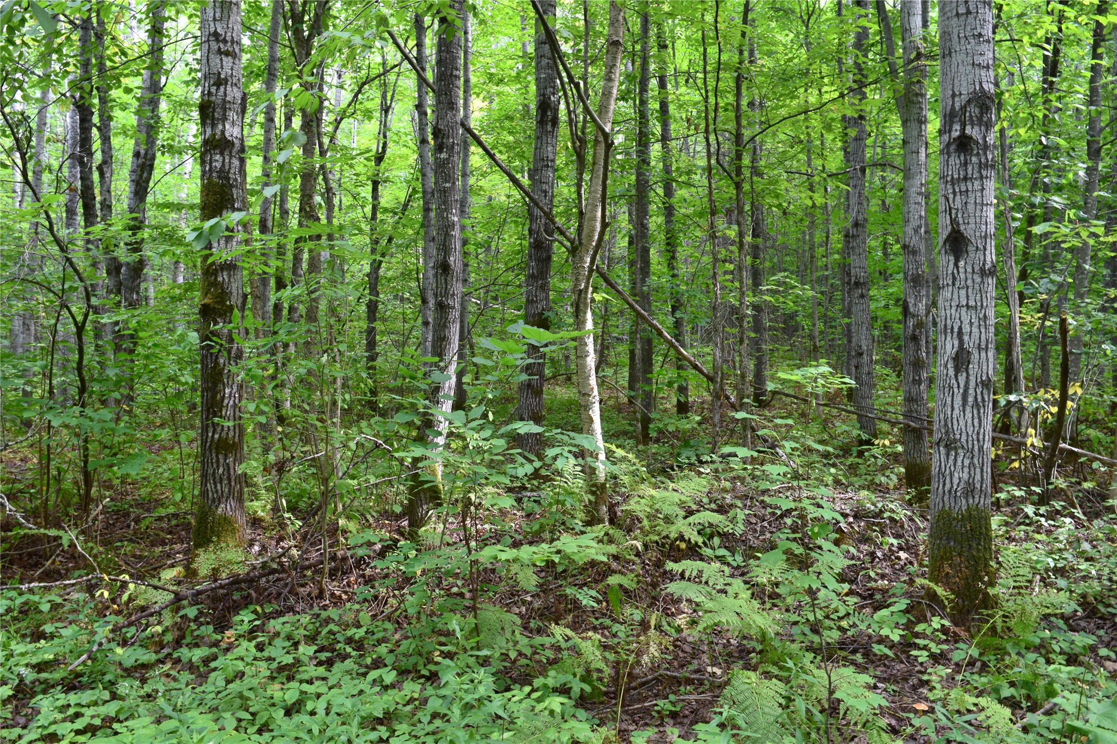 26615 Star Route Road Property Photo 41