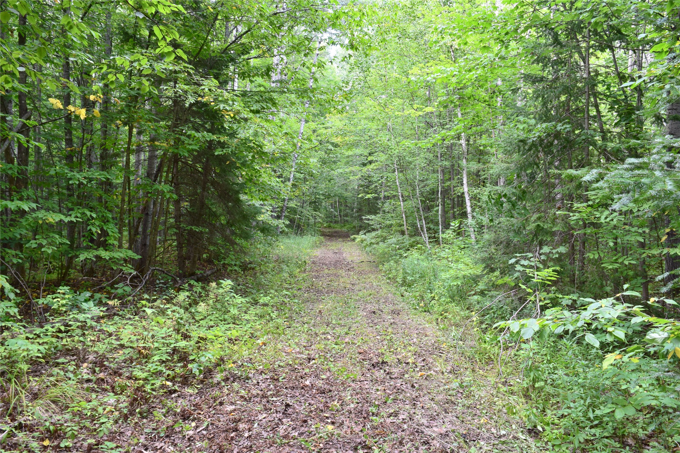 26615 Star Route Road Property Photo 42