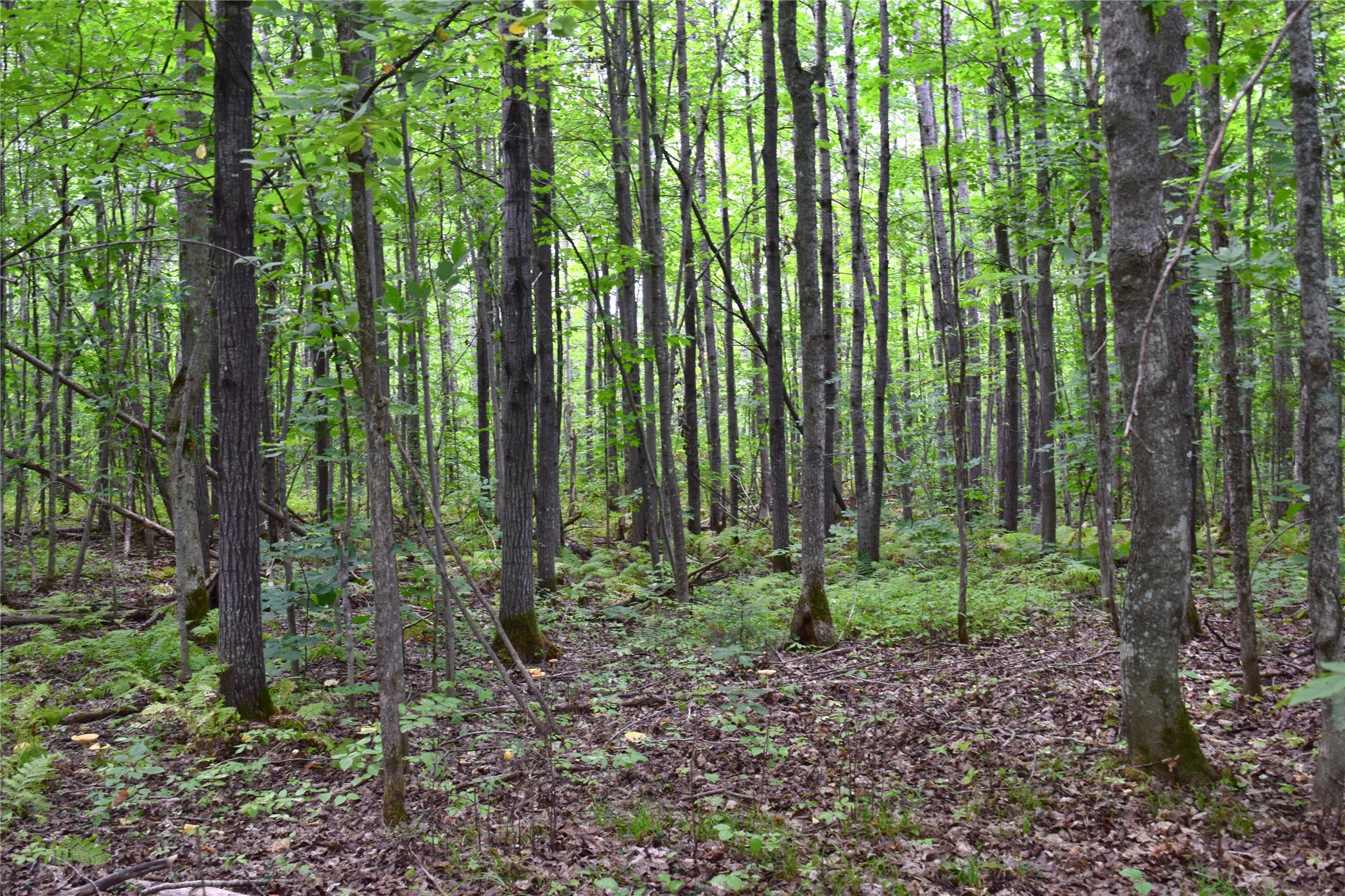 26615 Star Route Road Property Photo 43