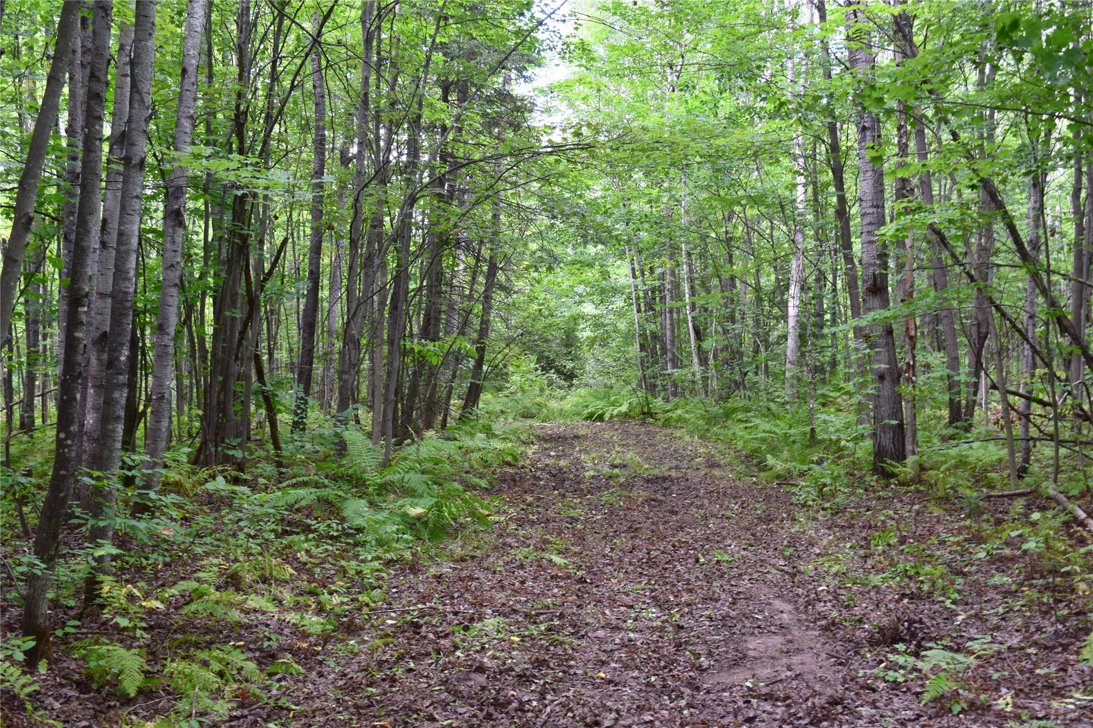 26615 Star Route Road Property Photo 44
