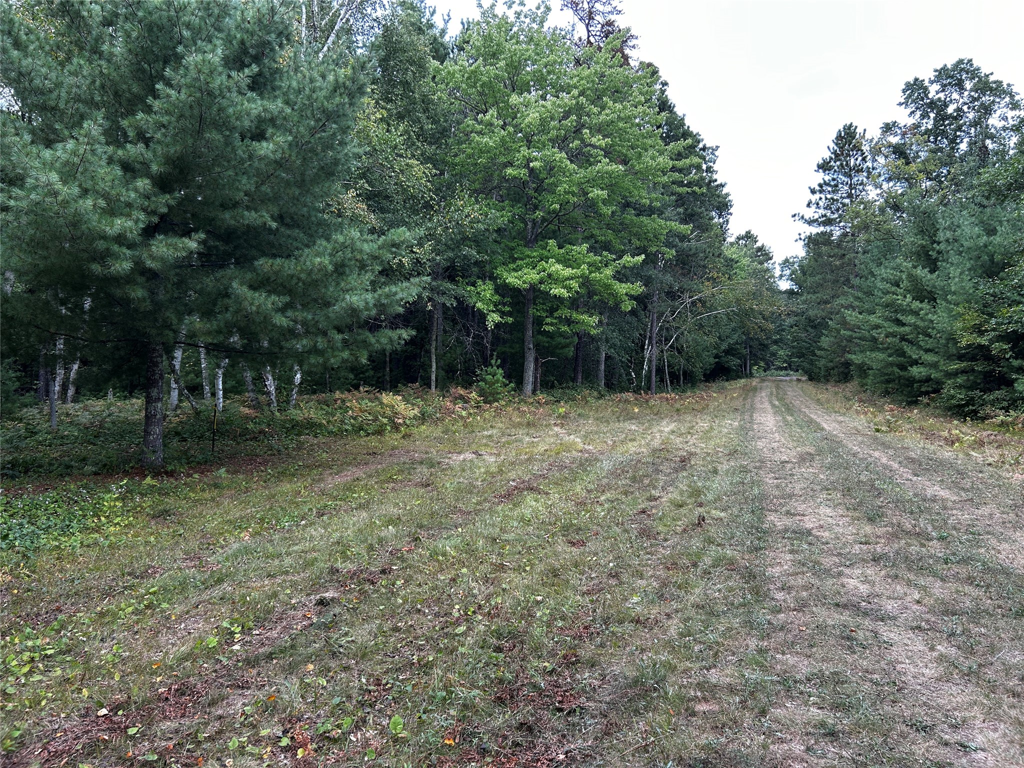 Lots 5 & 6 State Highway 70 Property Photo 24