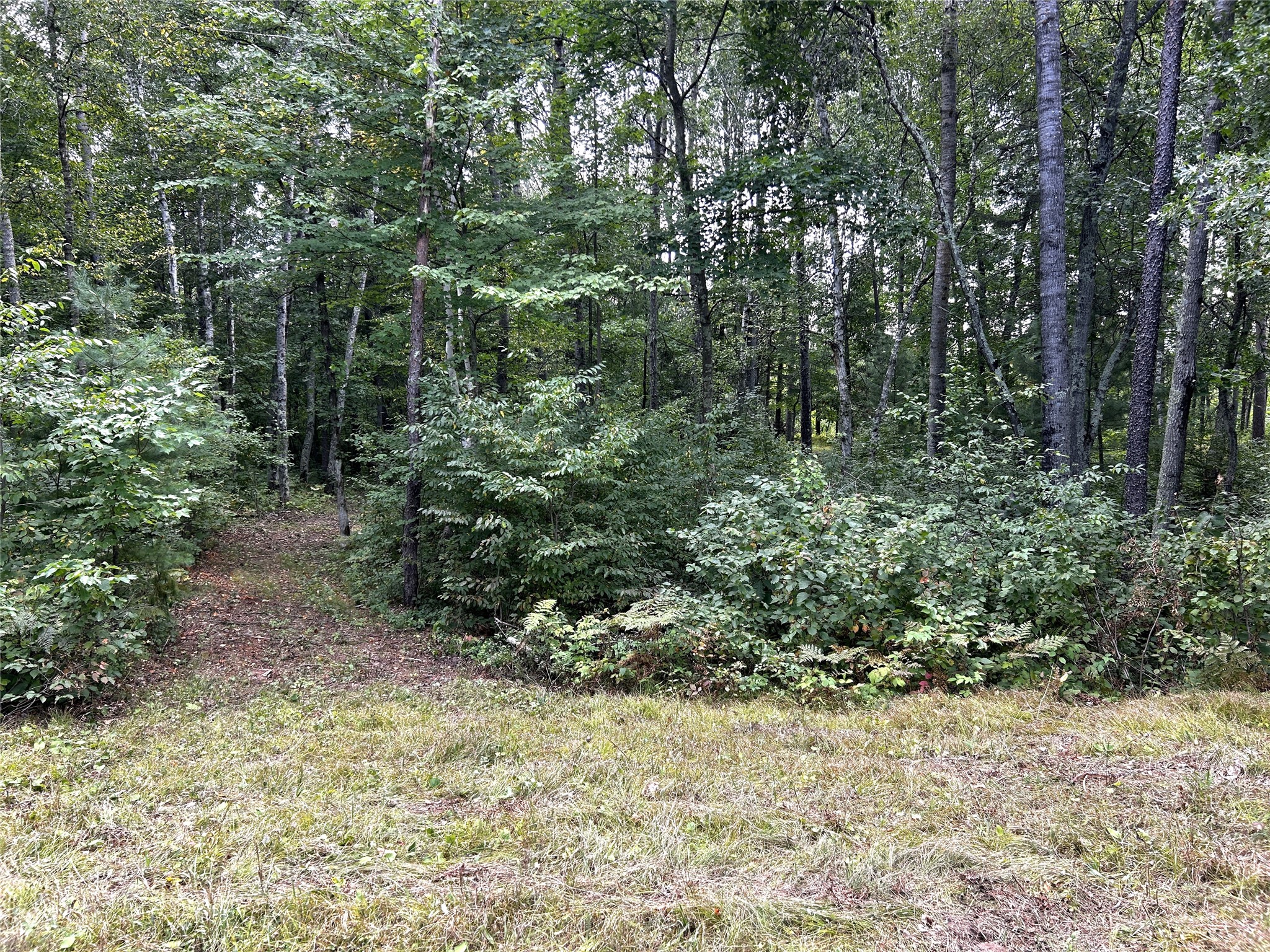 Lots 5 & 6 State Highway 70 Property Photo 25
