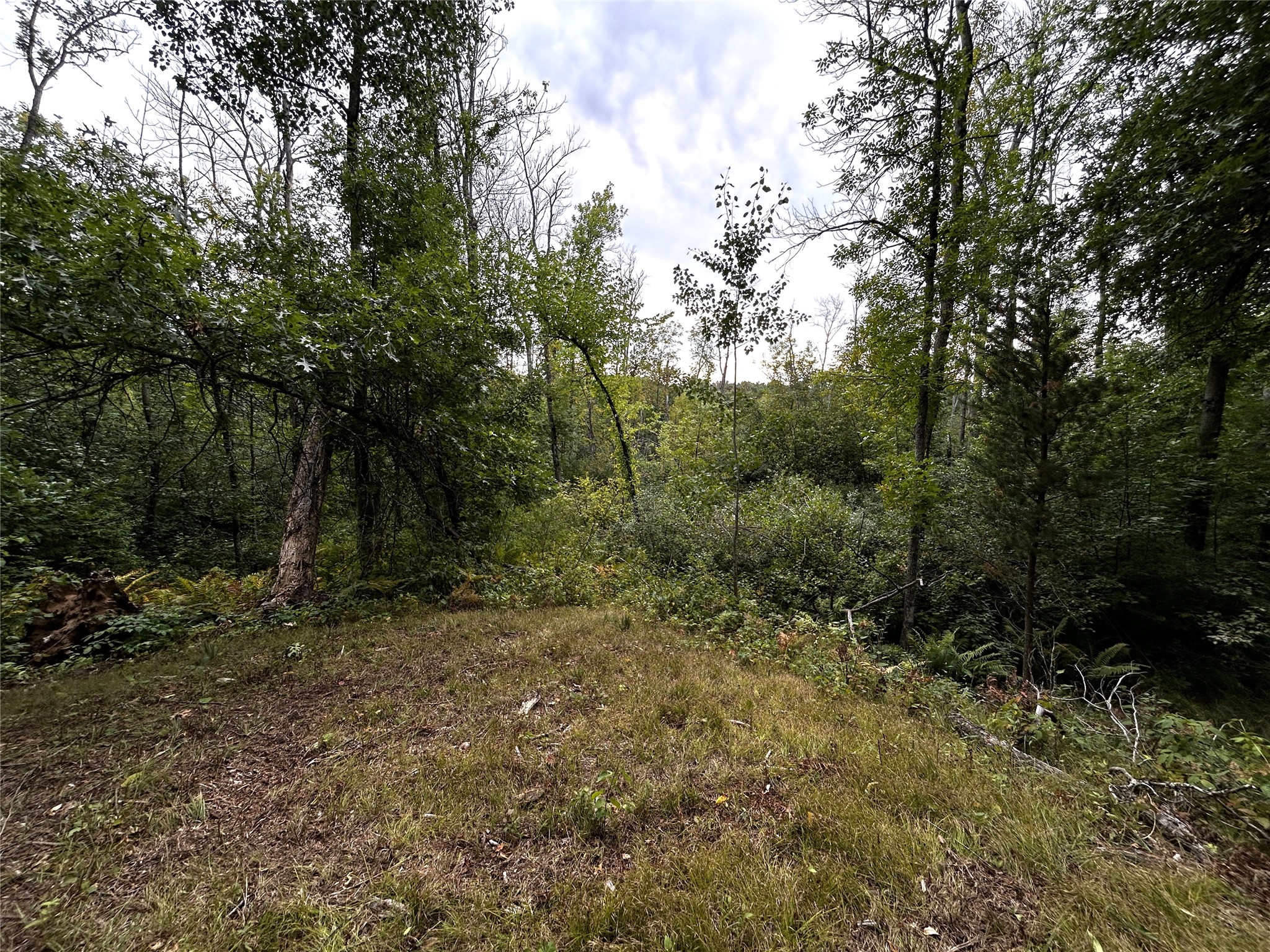 Lots 5 & 6 State Highway 70 Property Photo 29