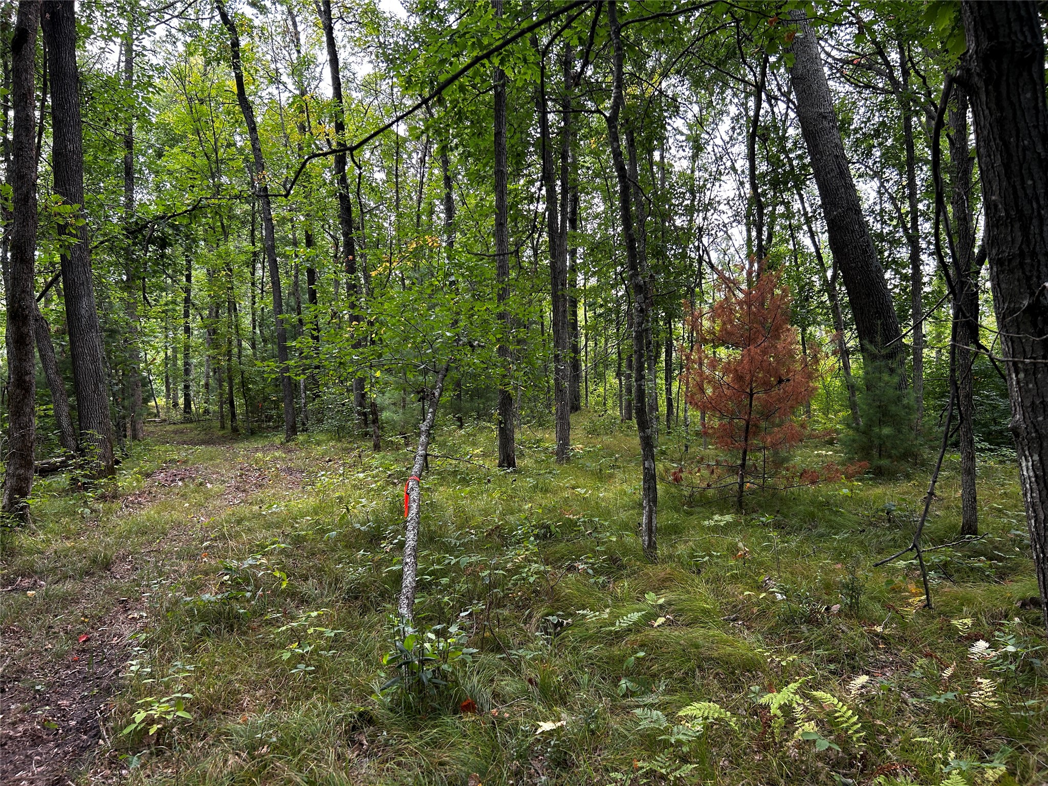 Lots 5 & 6 State Highway 70 Property Photo 32