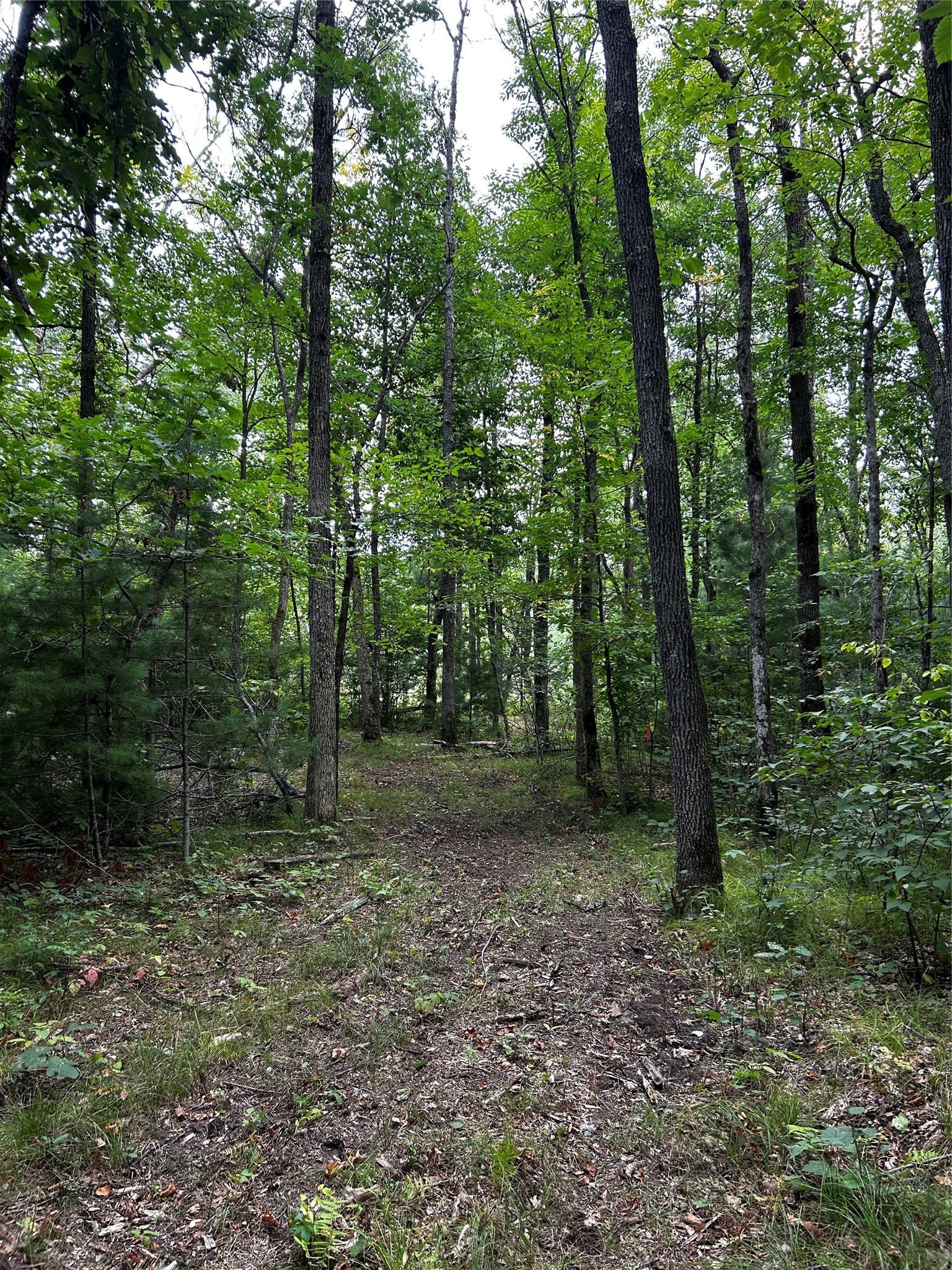 Lots 5 & 6 State Highway 70 Property Photo 33
