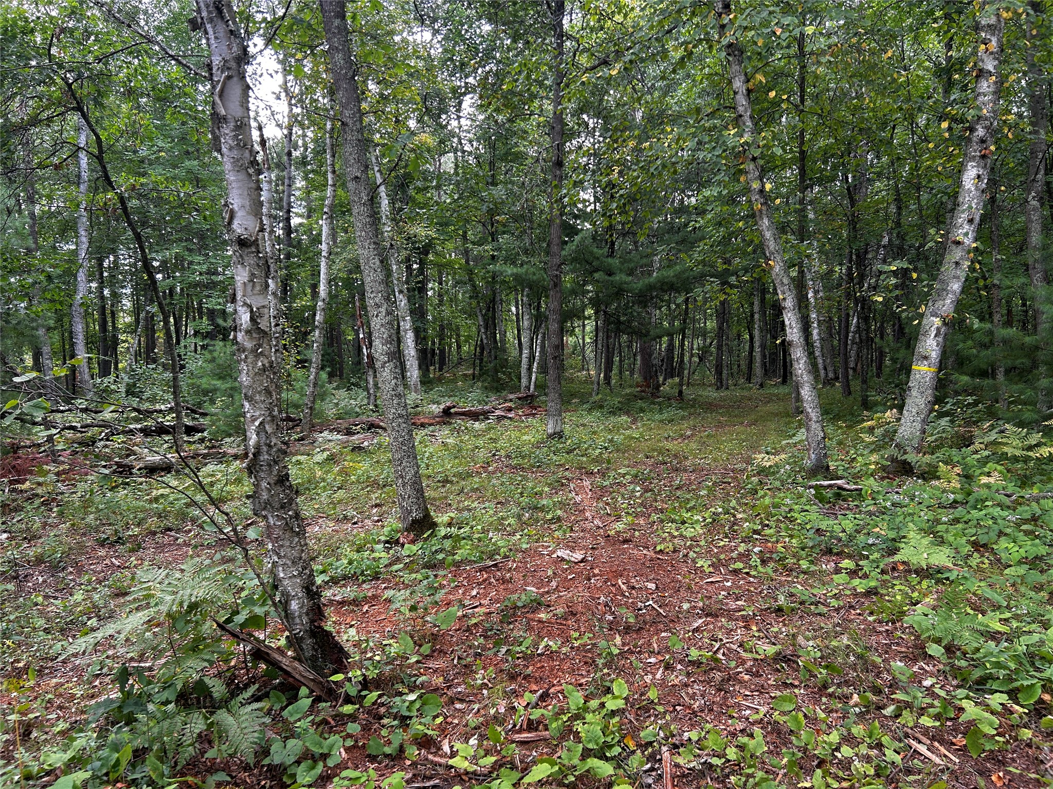 Lots 5 & 6 State Highway 70 Property Photo 49