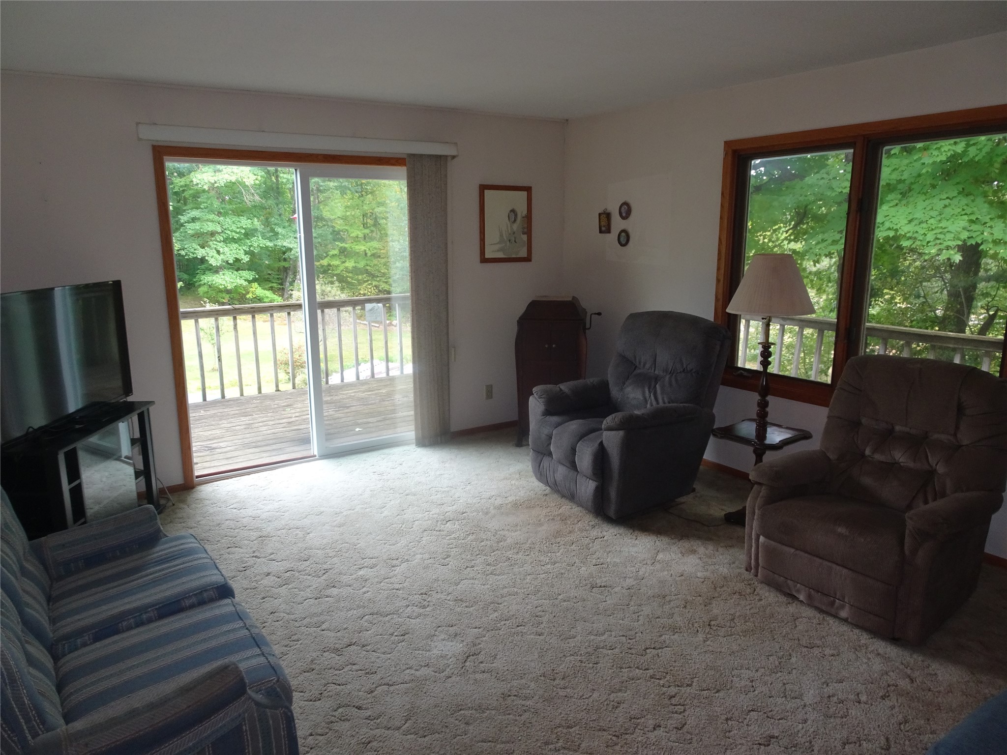 1293 State Highway 48 Property Photo 10