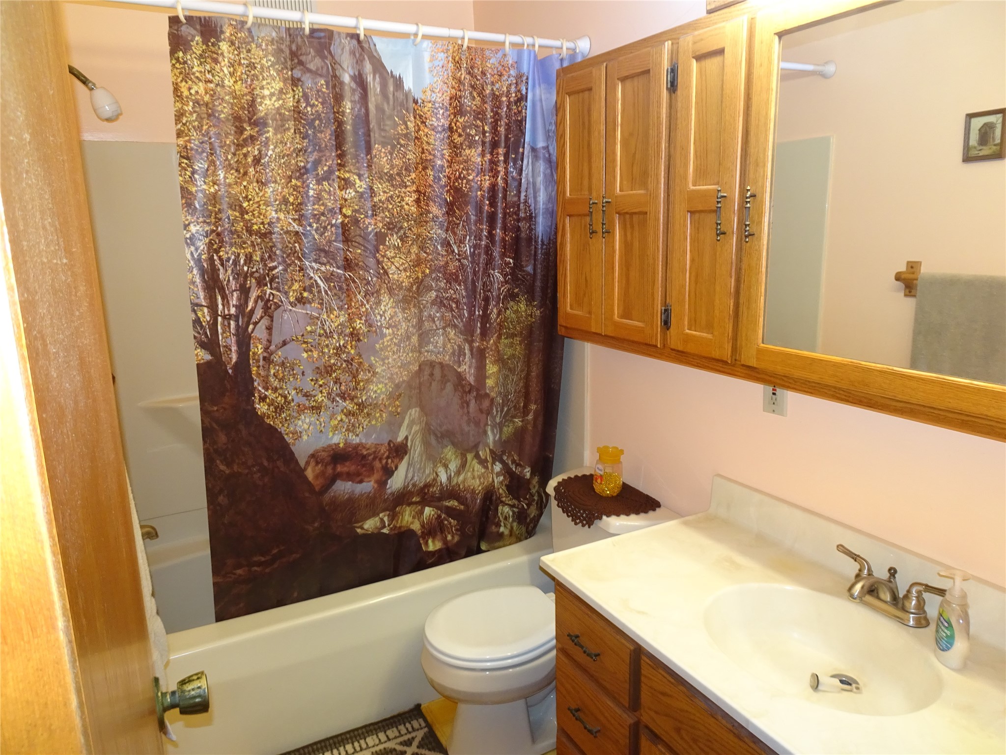 1293 State Highway 48 Property Photo 14