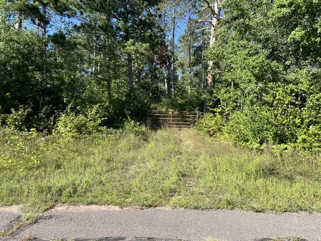 0 Mack Lake Road Property Photo 1