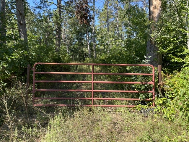 0 Mack Lake Road Property Photo 2