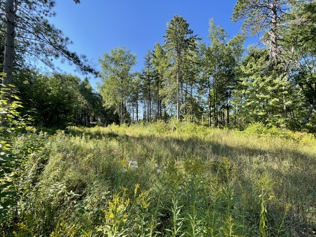 0 Mack Lake Road Property Photo 3