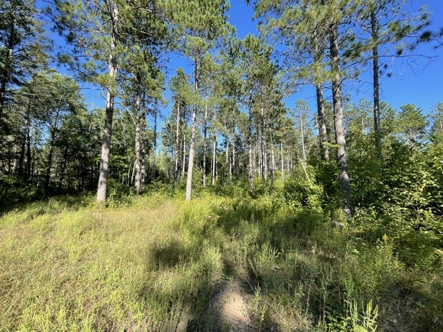 0 Mack Lake Road Property Photo 4