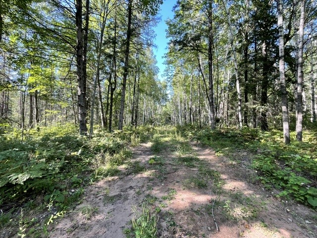 0 Mack Lake Road Property Photo 5