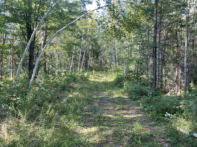 0 Mack Lake Road Property Photo 6