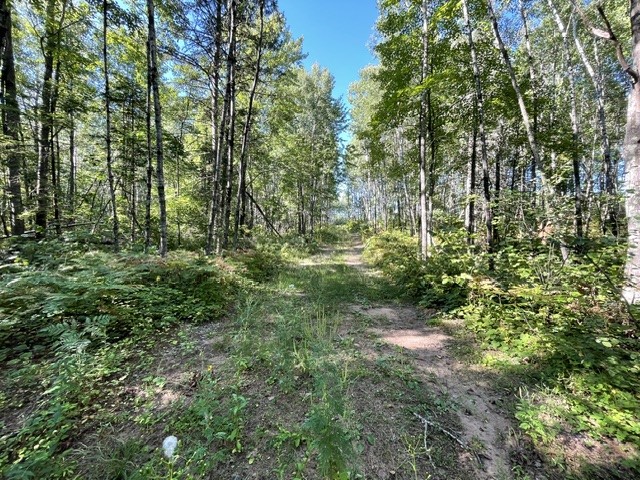0 Mack Lake Road Property Photo 7