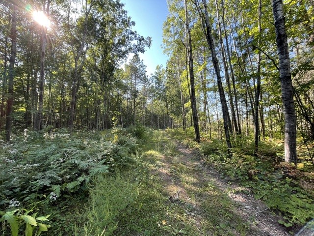0 Mack Lake Road Property Photo 9