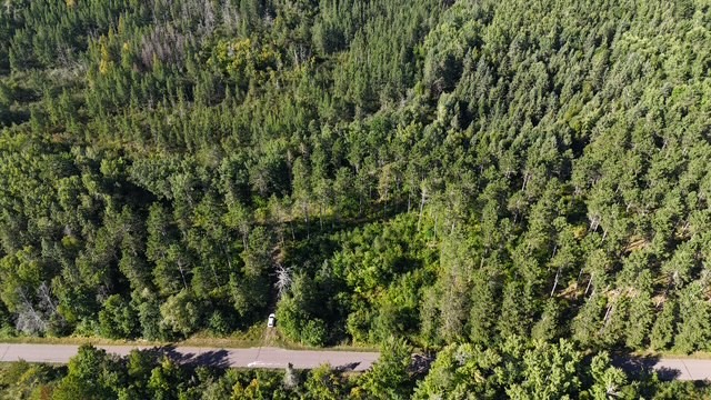 0 Mack Lake Road Property Photo 12