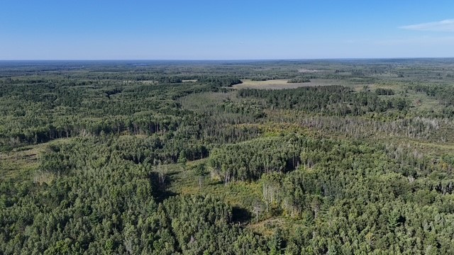 0 Mack Lake Road Property Photo 13