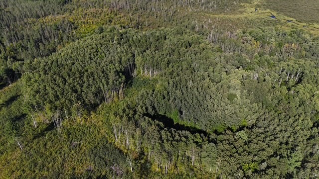 0 Mack Lake Road Property Photo 14